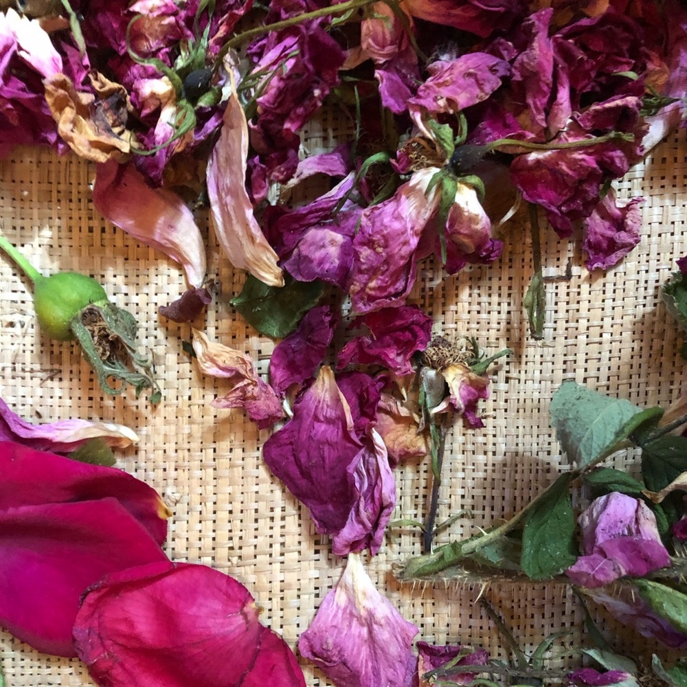 Meet your Posher, Rose